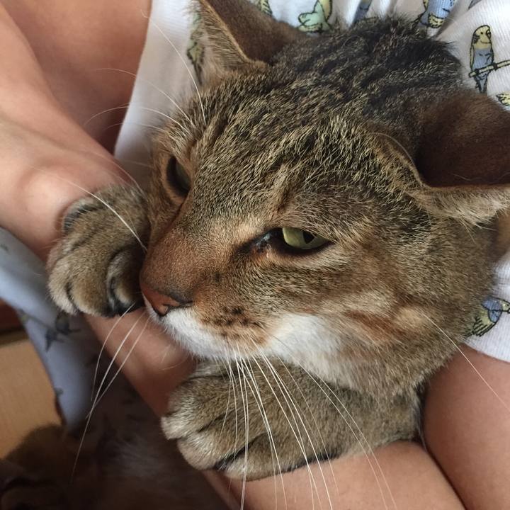 4b01e2c0 9819 45f9 82bb 233e1bae43ab