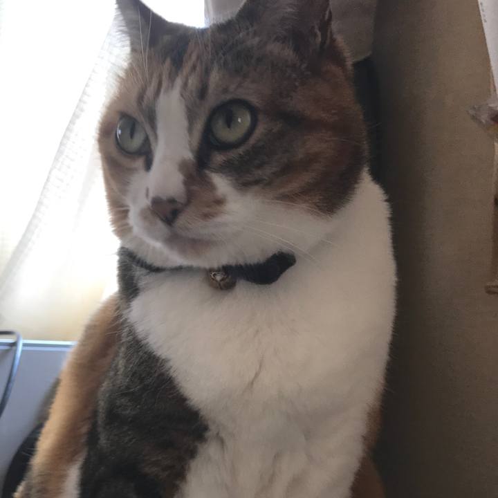 4b020777 2ddf 4b42 87b6 36849db7667e