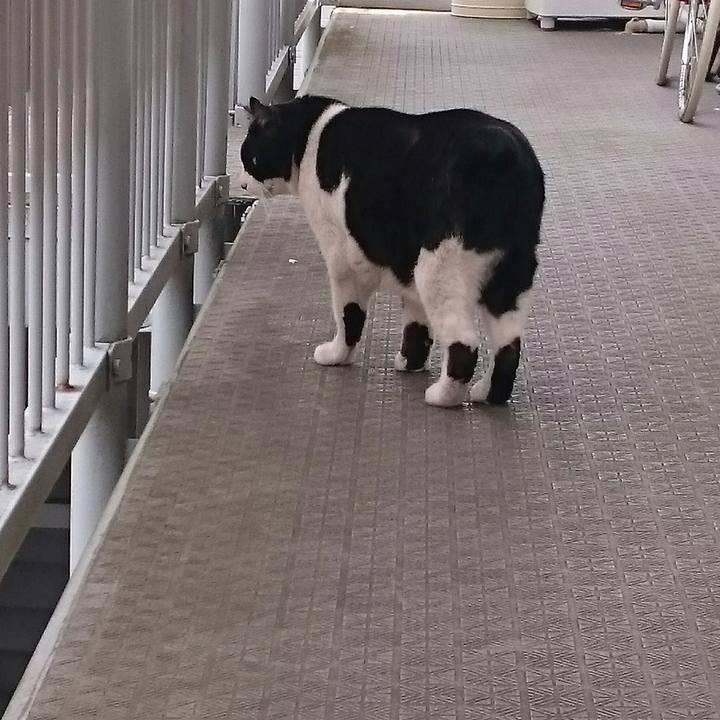 4b021bb8 a3eb 4c1a 9095 214c3e3573ec