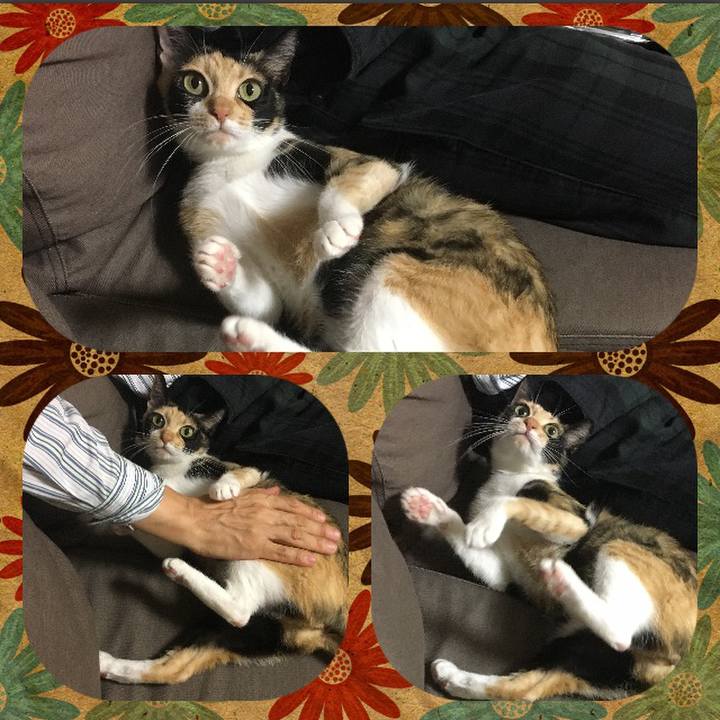 4b025a7b 23ae 455f b1f3 0ceeffdb5d8f