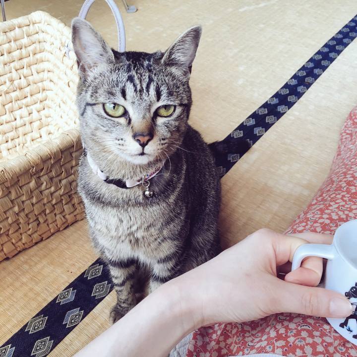 4b0265a8 f681 4326 9077 c4ef9e2cb3b6