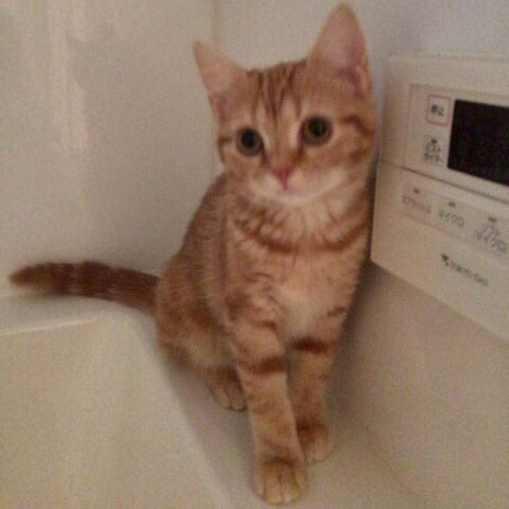 4b0319a1 b526 4af9 8bd2 3fdc707d9670