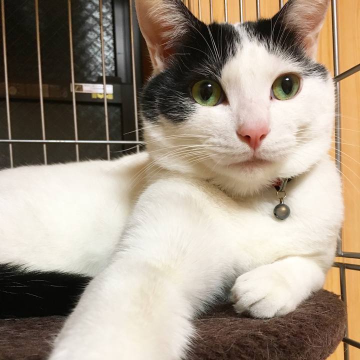 4b03611b f6fb 483b 8938 fbcc5754ec65