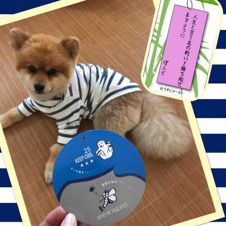 4b036473 a931 4391 aec3 3a206519337f