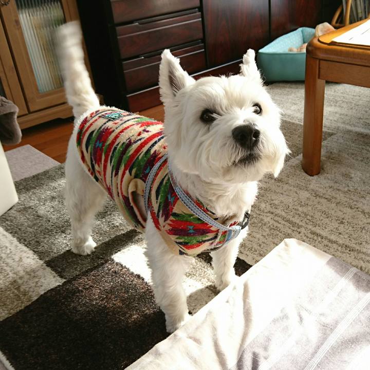 4b037bbb b940 425c b3b5 f56c0b1be08a