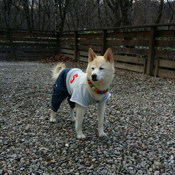 4b03b94e a1c4 418c 8ad2 3006c3507618