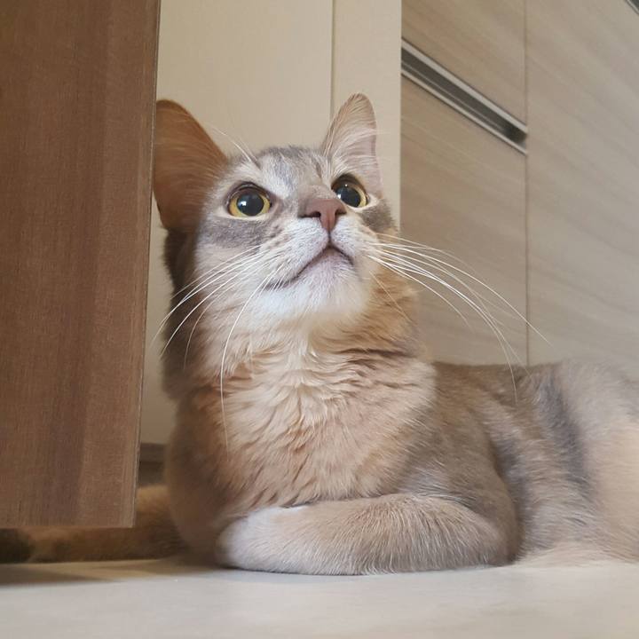 4b042d2c ad25 44b2 90bf 6946411eff42