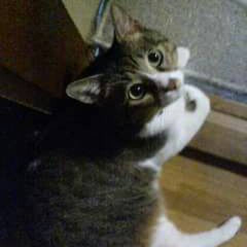 4b0469b5 b255 4654 aba1 c99bffbe56eb