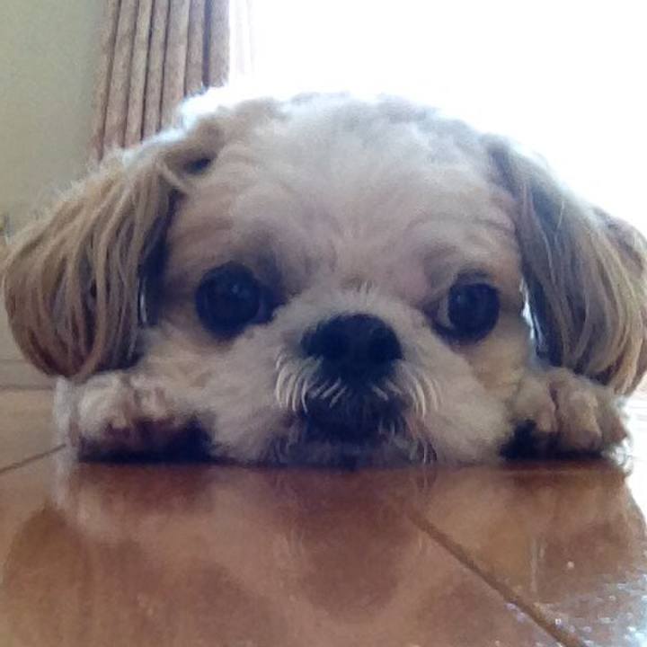 4b047756 859d 4432 a9eb adb1fa639066