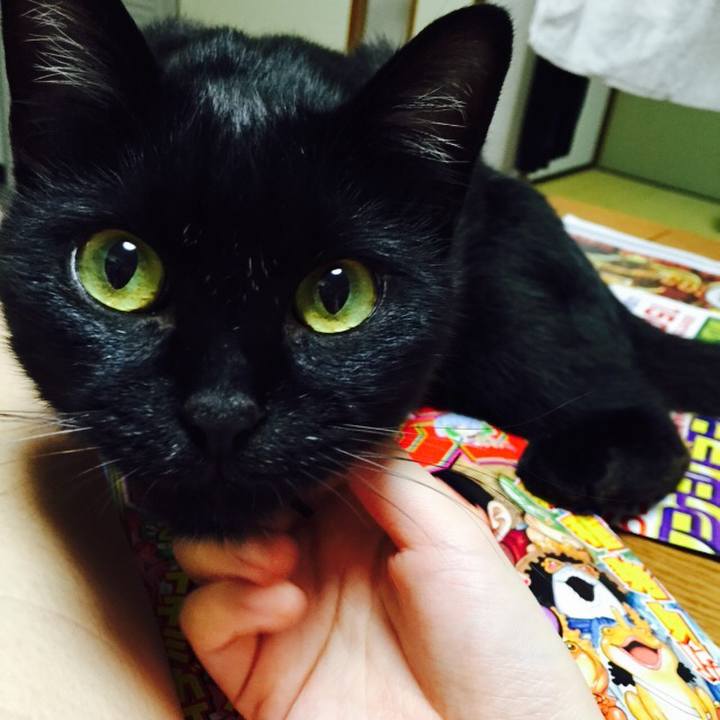 4b04c925 fb12 49a2 a5b6 5532f4e1f205