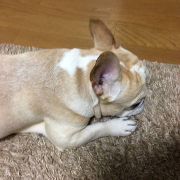 4b053b50 5671 4539 bfc3 fb5f7c03aea2