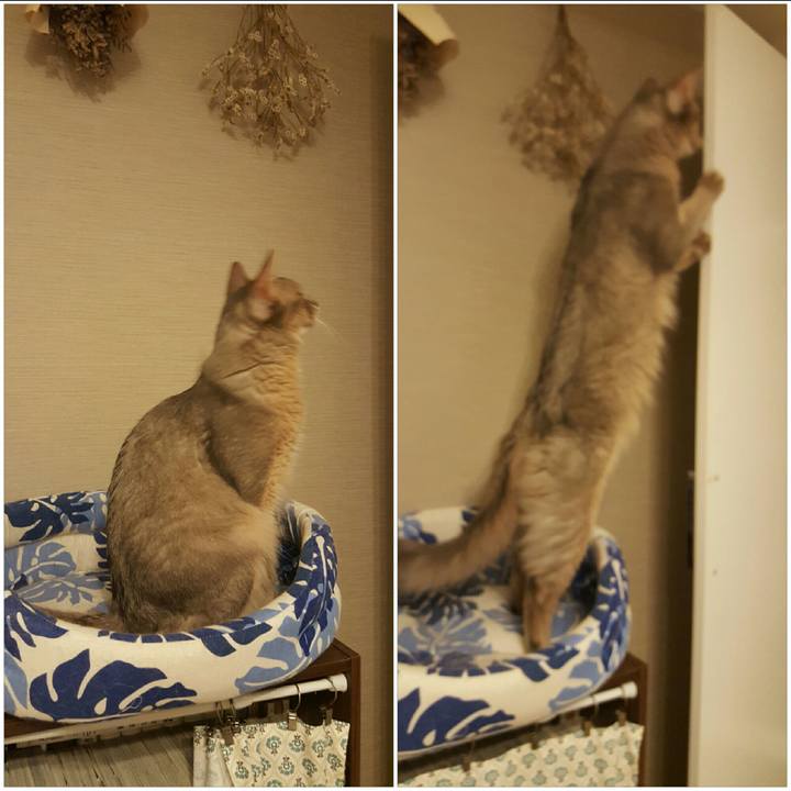 4b05630b 0774 447c a7fa 29dfcc61c369