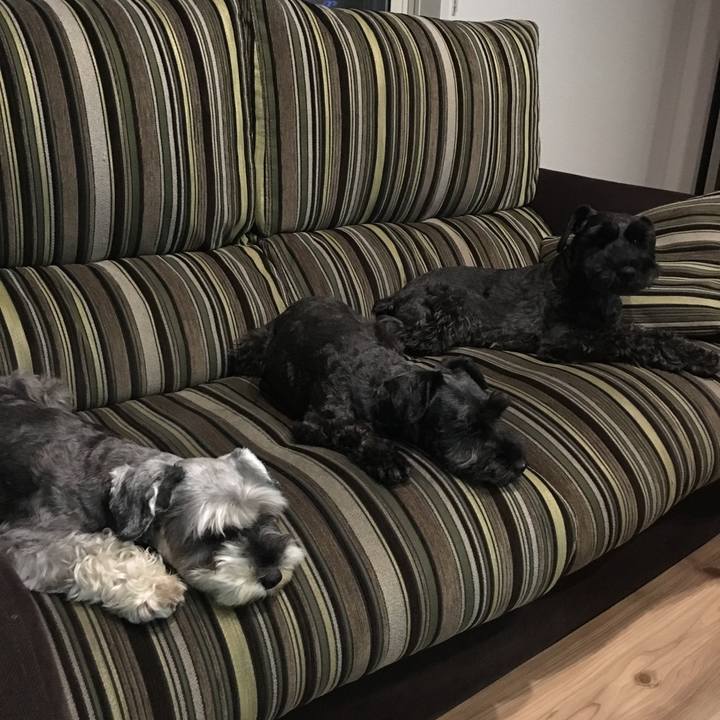 4b062068 9e38 4699 ba5e fdd596ea769f