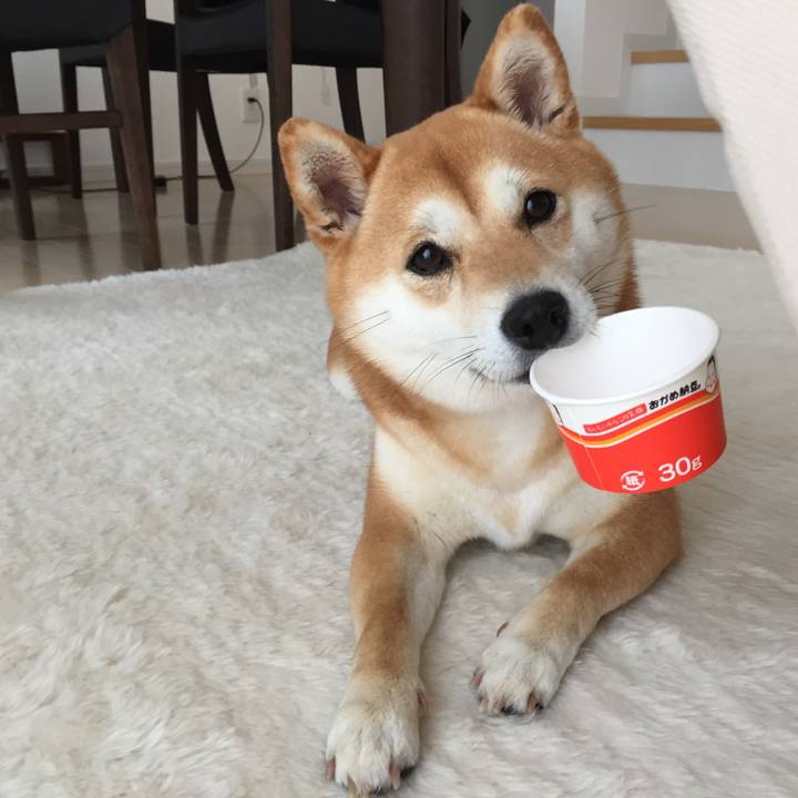 4b066b5c d037 4901 86e5 3050c4124e2a