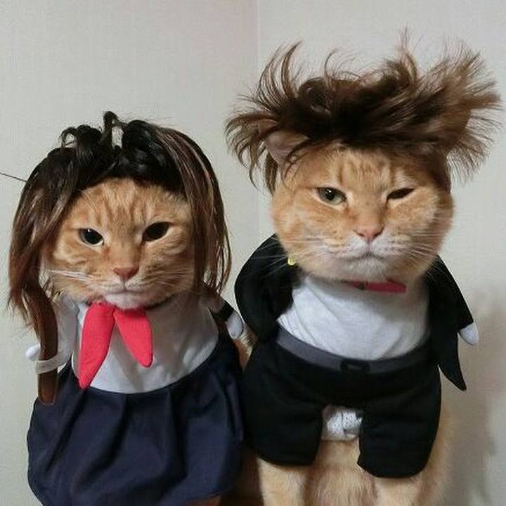 4b068940 9c79 4da6 96f5 ec0790ac0f00