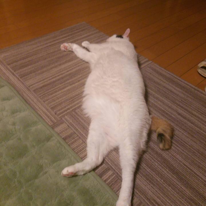 4b0694c9 0b9e 4036 a836 83b55eb5461f