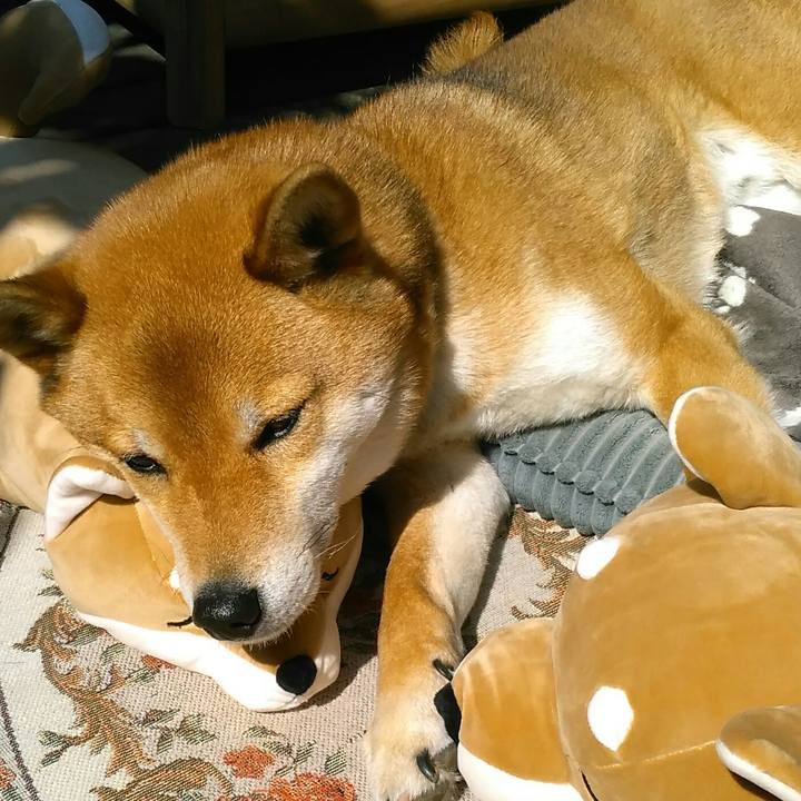 4b074055 9f31 46c1 a0bf bc78b249044c