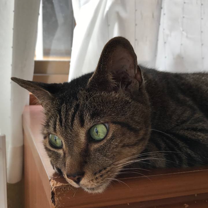 4b075ba0 7a81 4275 bdc9 28c37fb05091