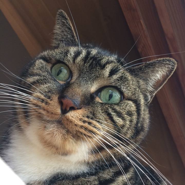 4b075c3f 9f9f 4eac b7bb 0f135f9e9325