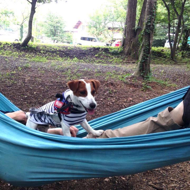 4b086f14 40ac 45ca 9a7b 44db830d5cfd