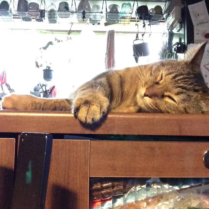 4b0883dd 8045 4207 823f 10c83f57706a