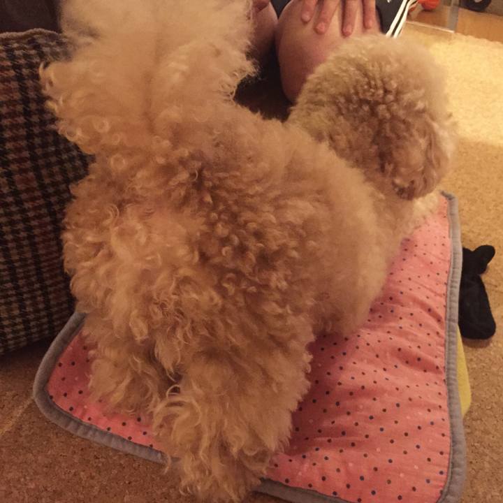 4b0914bd c810 4771 8858 e02260c3c07d