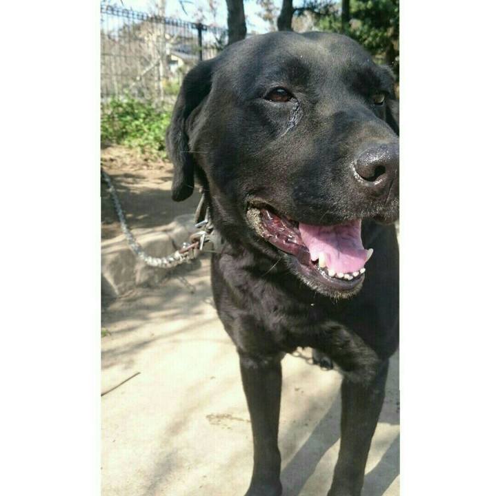 4b095041 2c35 4aa6 b6e1 e5ba5fc6c16f