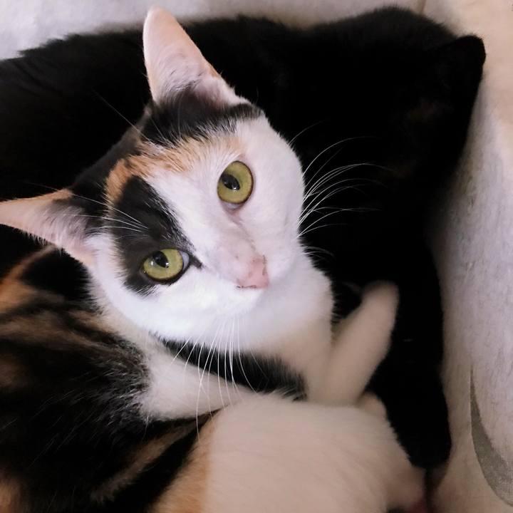 4b095c09 47db 4786 a8eb 8f6d2087862d