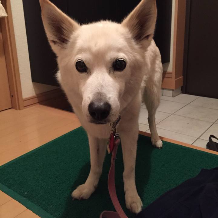 4b09722b ddc4 482b a840 600845164f45