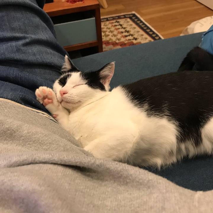 4b09c70d 35d7 4236 baa6 bae4c381804e