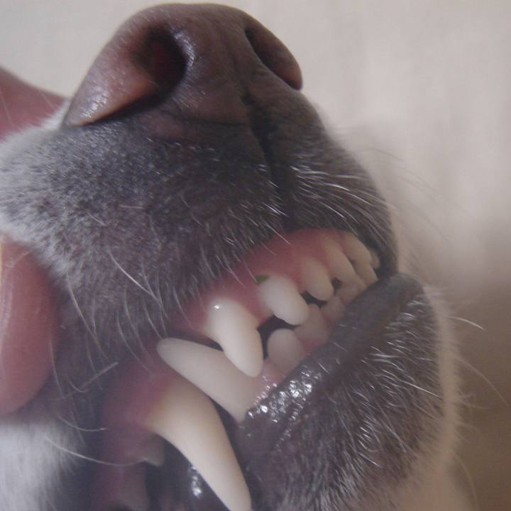 4b0a6204 12d2 4904 8230 fe591eb5288f