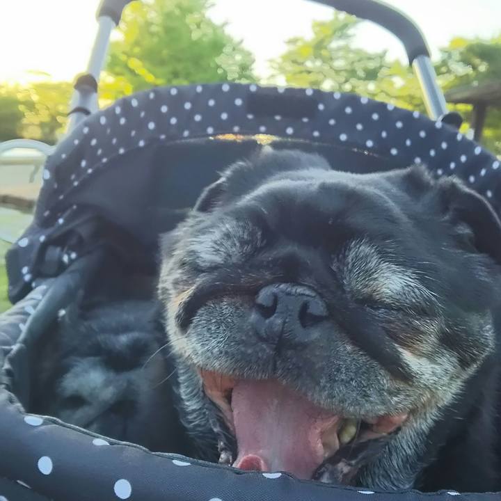 4b0ab30c 7296 4c40 8772 a55a4aff2357