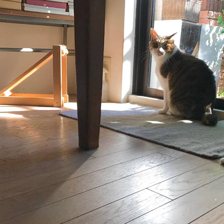 4b0ae5c5 845a 454b af5a ae2e0642017b