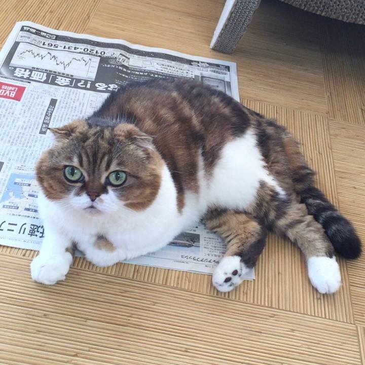 4b0bedc4 98ec 481e aed5 11642ab98975