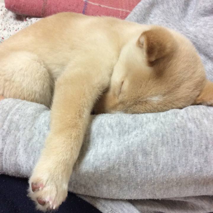 4b0c2903 458b 4890 9c40 a6c19d3defbb