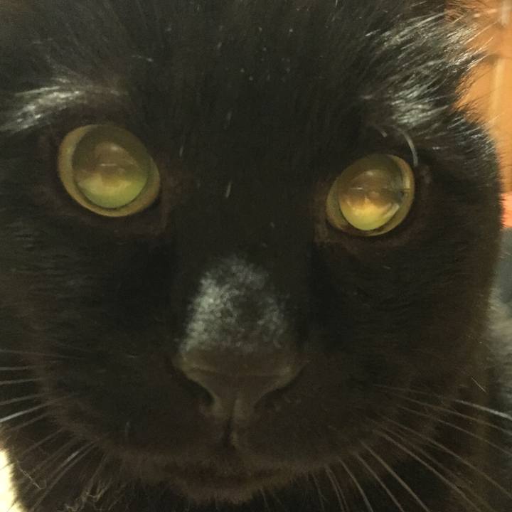 4b0d17e7 e3ec 44d9 8dce 376b382ed237