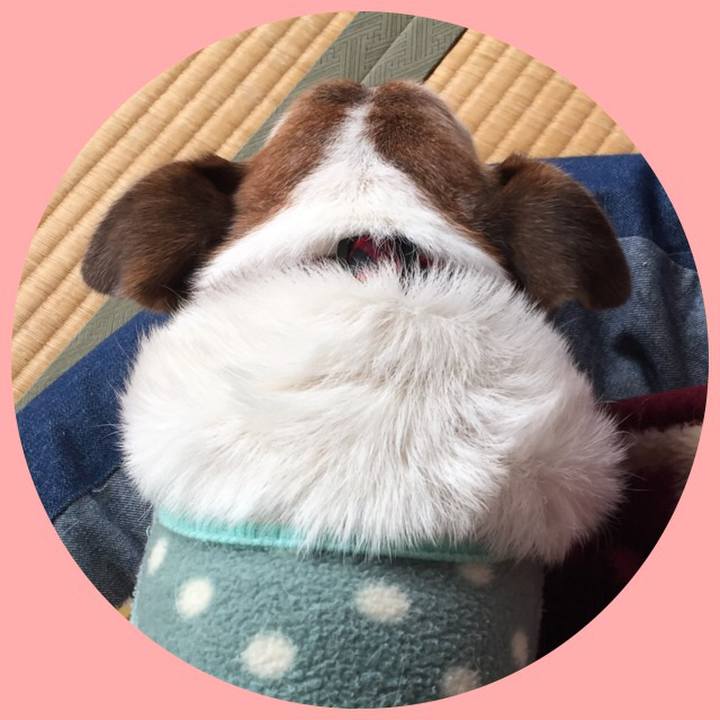 4b0de72e f190 4d2c a812 cda93770defc