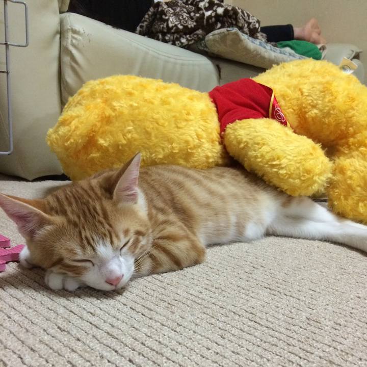 4b0e206d fddd 4e86 86b1 eee180f1ddd7