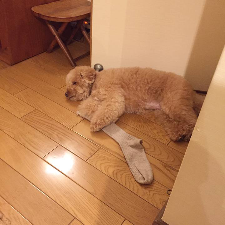 4b0e2d8c 174e 4176 98d8 59c2cc5cd8c6