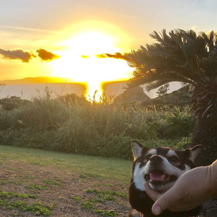 4b0ec5b0 4aa3 4540 9ce7 9ffe7ad2feac