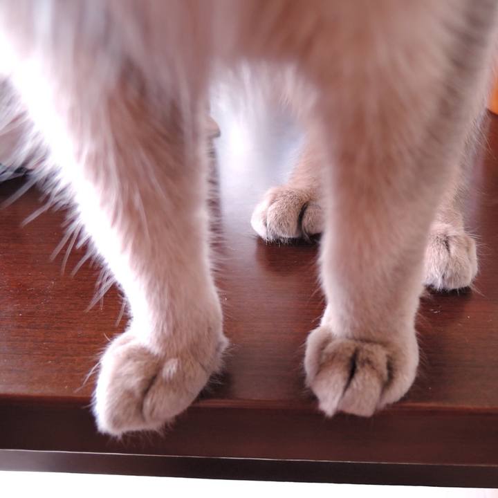 4b0f59f3 ac6e 40d8 8c07 0f7effb79fa6