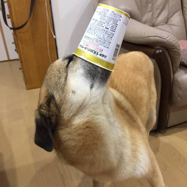 4b0f60f6 89e8 41f4 bd1d ad1c0d5bf49d