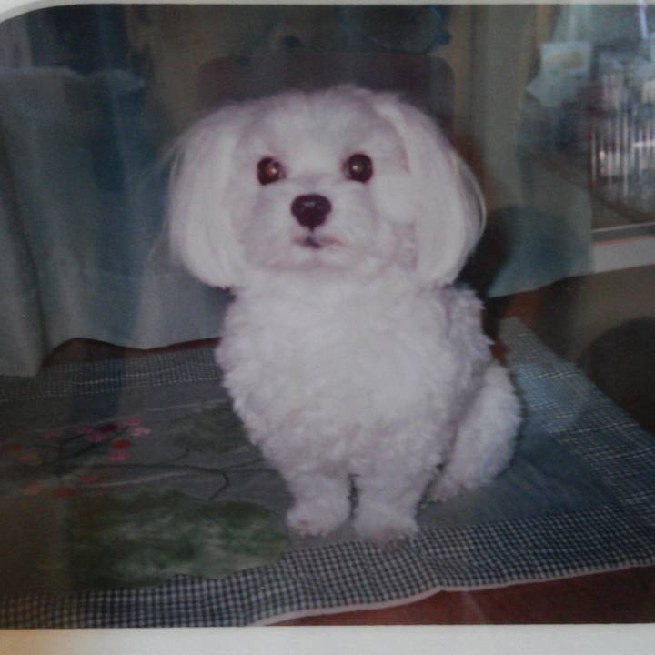 4b0f62e3 a75d 45ba b9e5 d1d5c27813e4