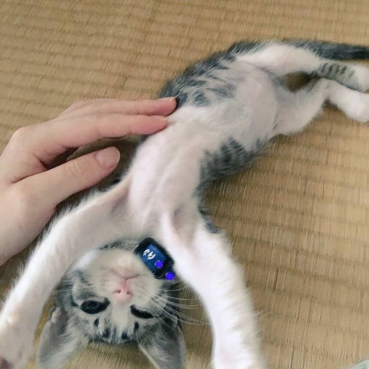 4b0f6aec 906a 4a02 9e5d 8496ad4dd526