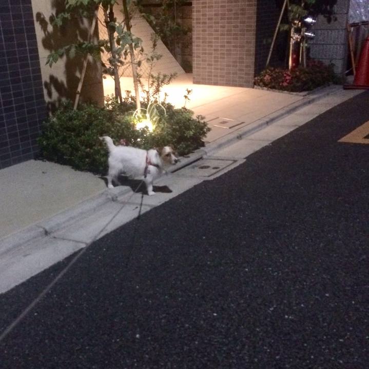 4b0f7928 b2af 4be6 9250 6b1ff4ccd199