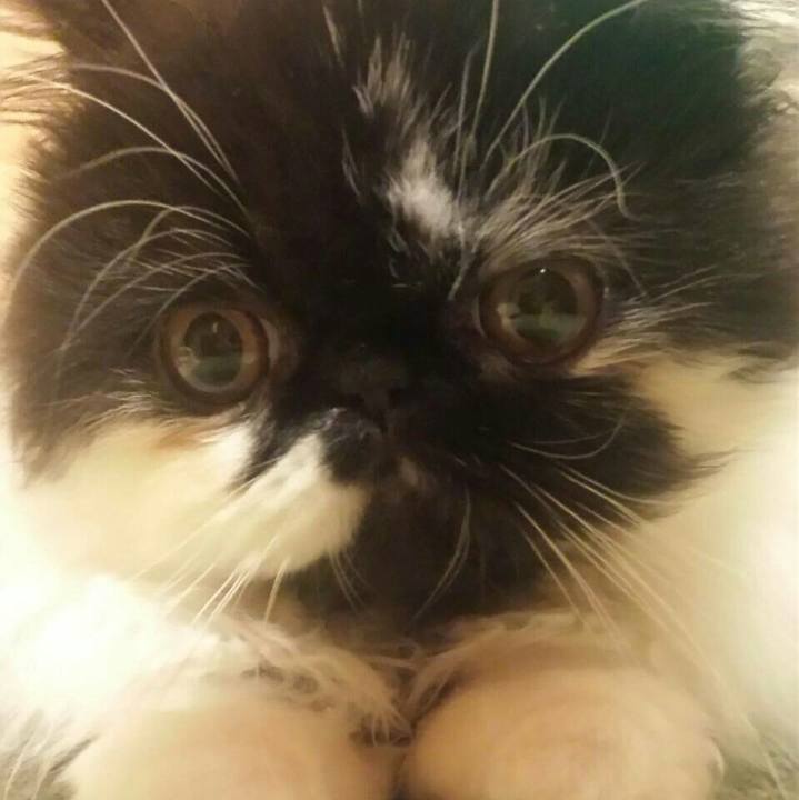 4b0fbc7e eaba 448e b52d ce8e70717b8a