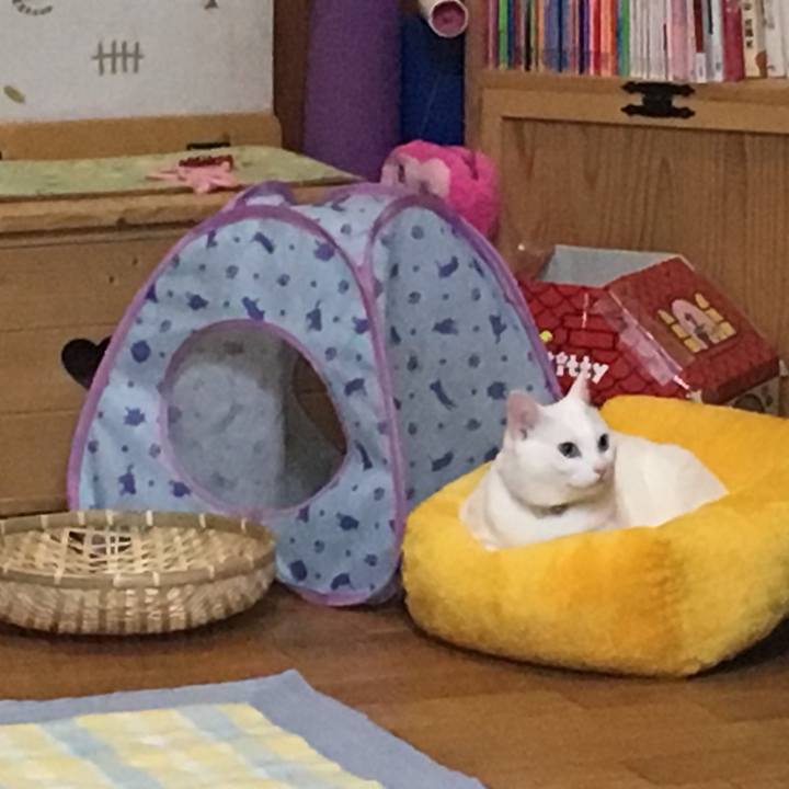 4b0fd3c2 6262 4300 8072 49d0a2b0b6af