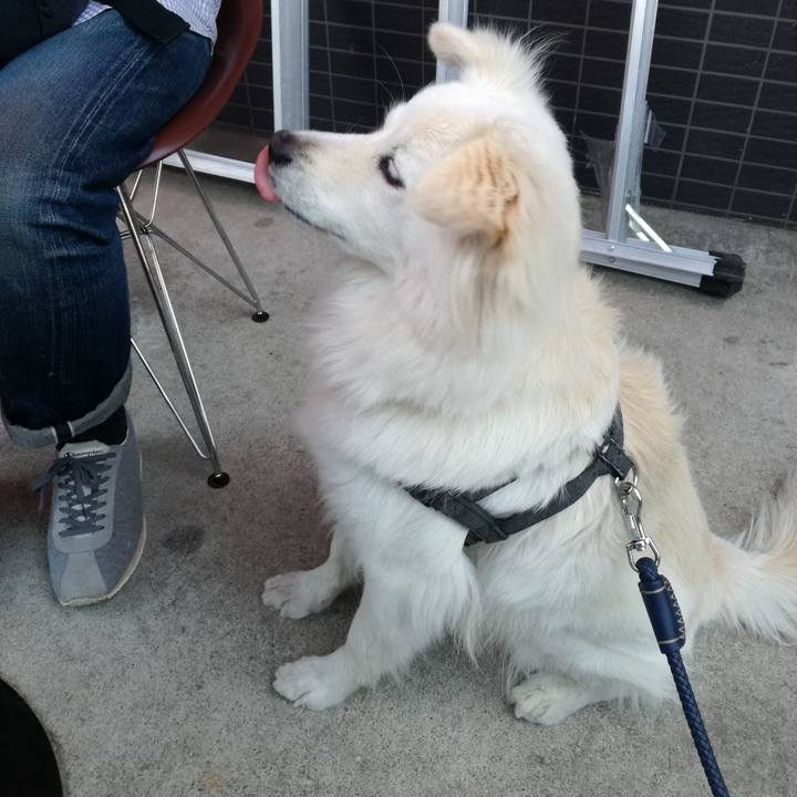 4b0ff0d2 d172 4723 a97f f3917df62f33