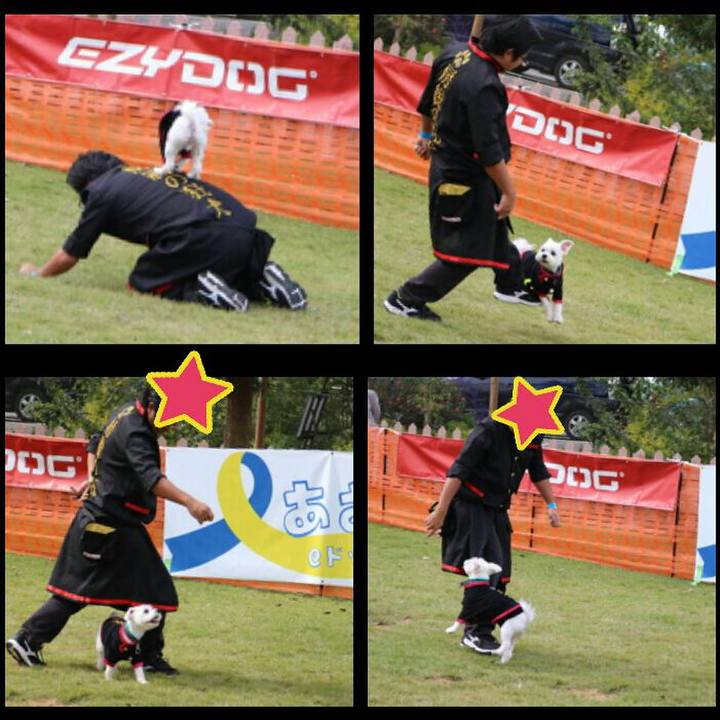 4b110de1 d7b6 4e8d 92d6 58701532ad6a