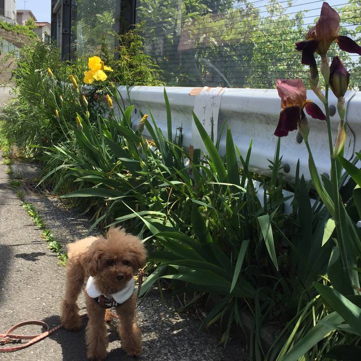 4b1170d9 4ac3 4444 81bc d10574a0d9fc